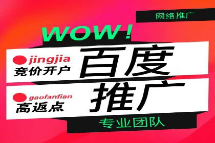 百度竞价代理技巧：经典成功案例解析